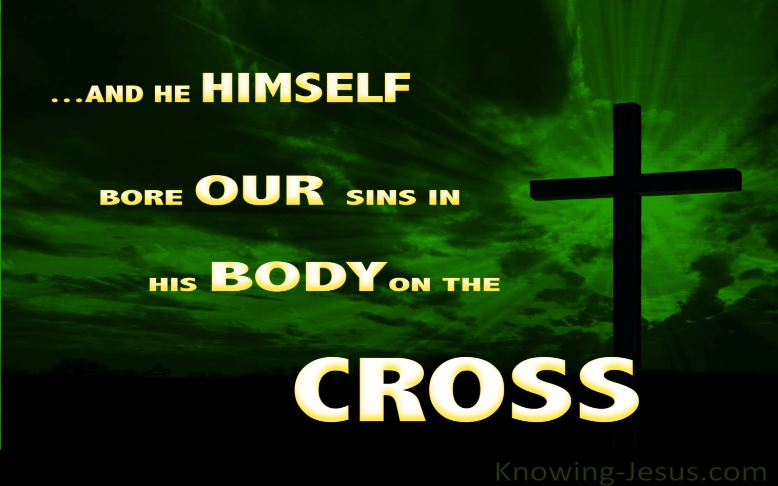 1 Peter 2:24 He Bore Our Sins (green)